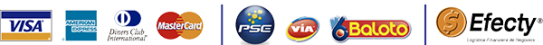 formas de pago segura2